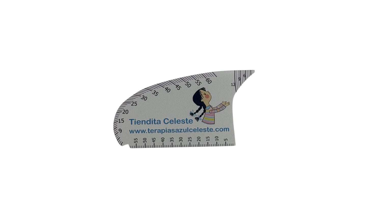 Range of Motion (ROM) Scale